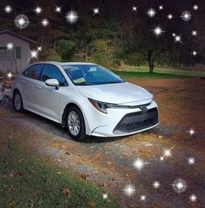 Meet your Posher, Billie